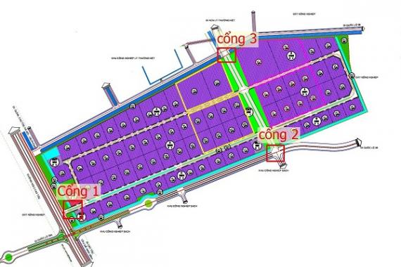 Mặt Bằng Khu Công Nghiệp Ecoland Mặt Bằng Khu Công Nghiệp Ecoland